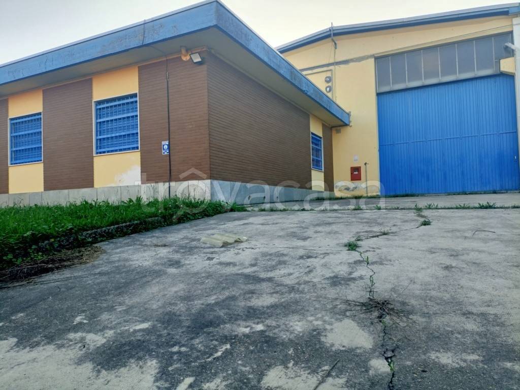 immagine annuncio 6 di 8