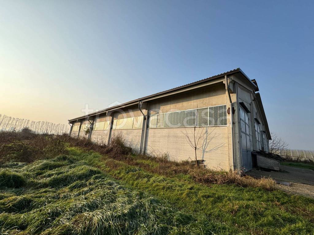 immagine annuncio 5 di 9