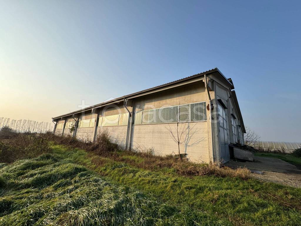 immagine annuncio 7 di 9