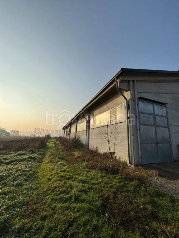 immagine annuncio 4 di 9