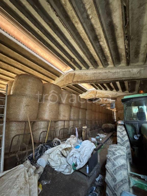 immagine annuncio 6 di 9