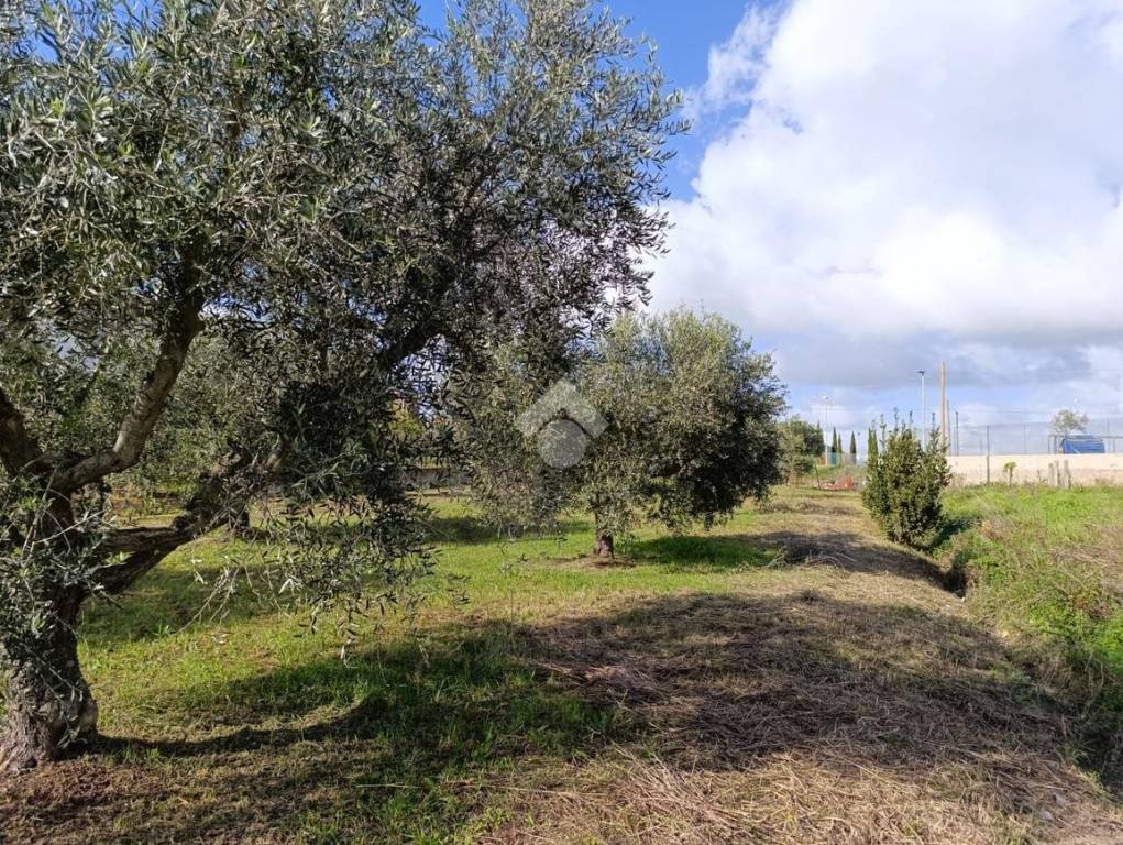immagine annuncio 8 di 10