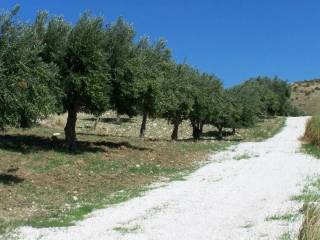 Terreno agricolo in vendita a sciacca area residenziale sciacca ferraro - montagna - santa maria