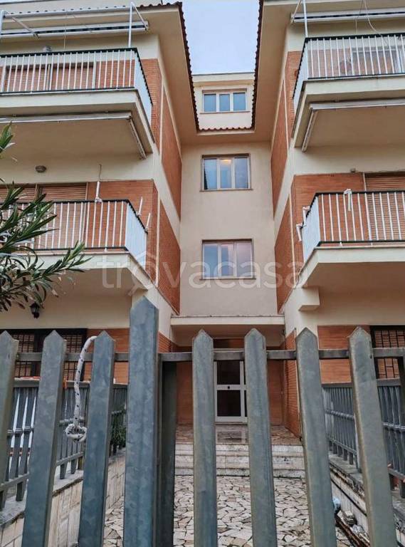 immagine annuncio 7 di 12