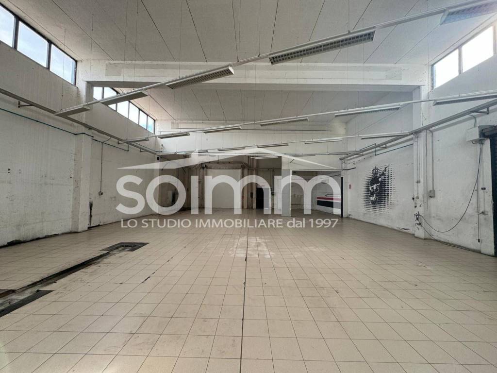 immagine annuncio 4 di 15