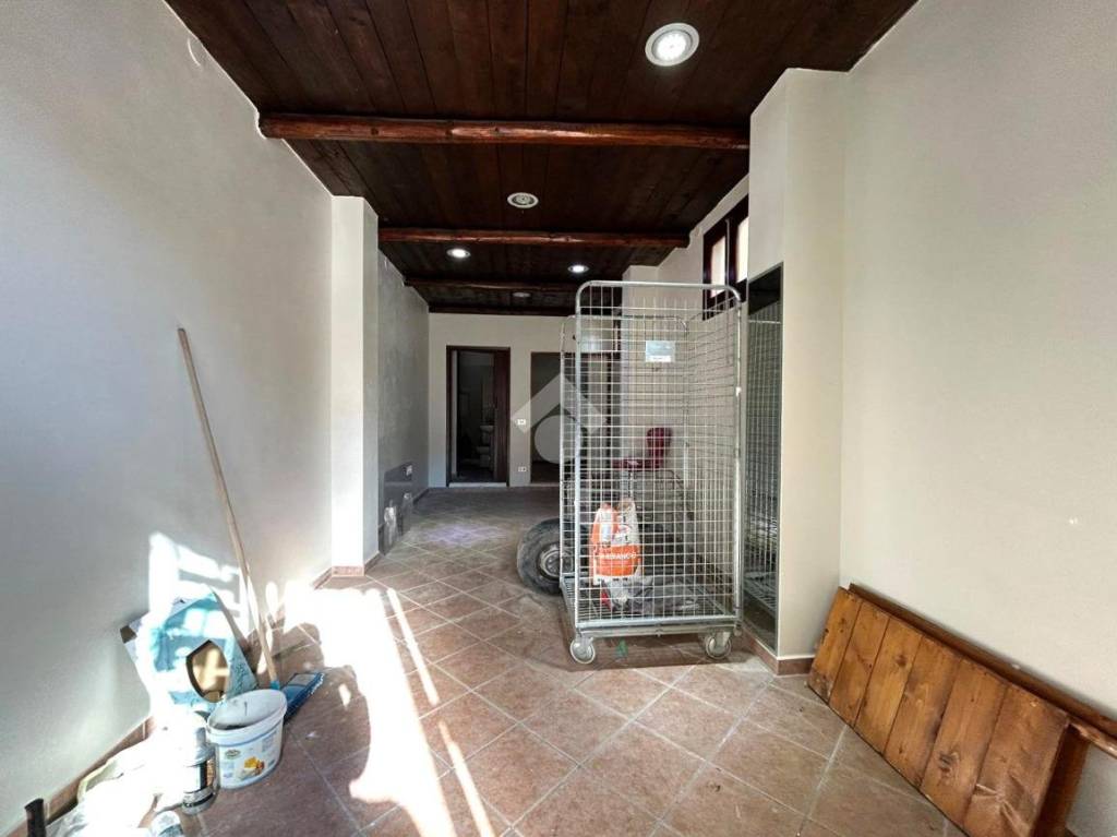 immagine annuncio 2 di 13