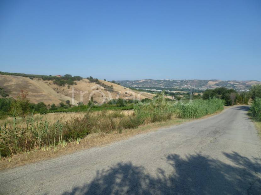immagine annuncio 3 di 8