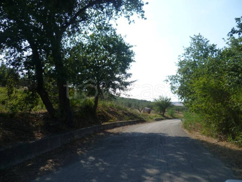 immagine annuncio 6 di 8