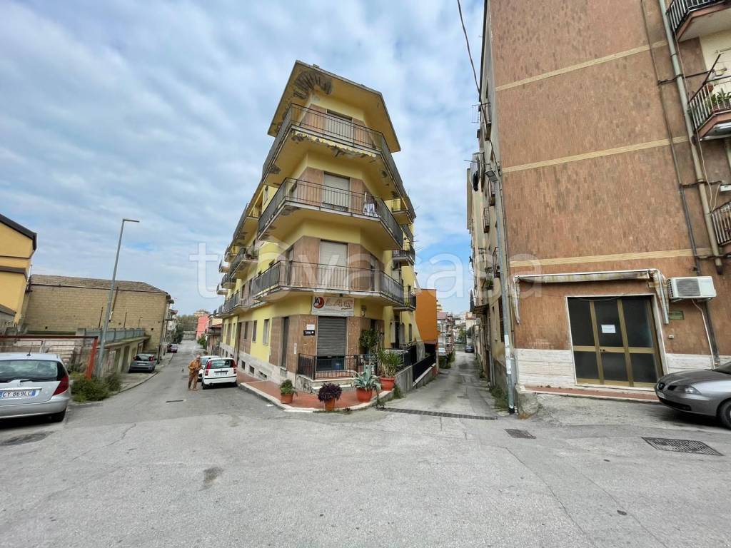 immagine annuncio 1 di 6