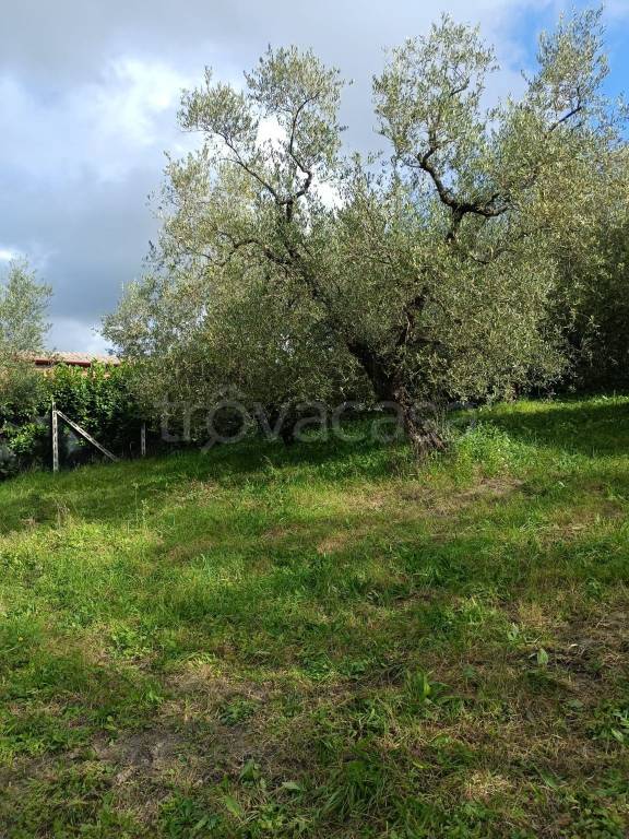 immagine annuncio 5 di 12
