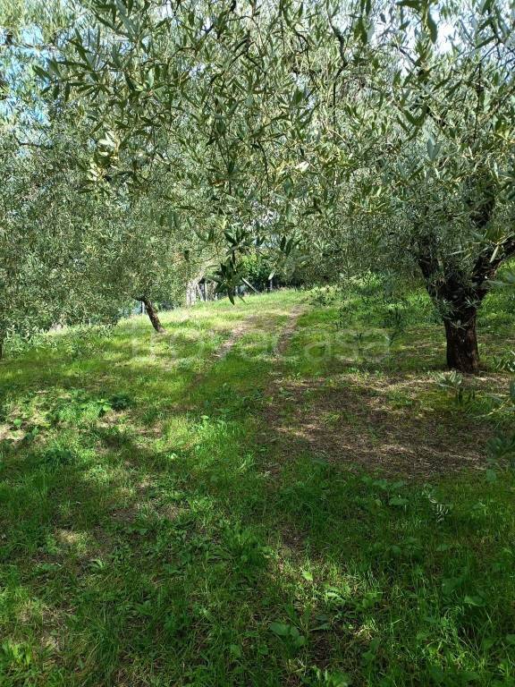 immagine annuncio 7 di 12