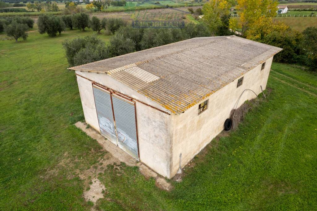 immagine annuncio 9 di 11