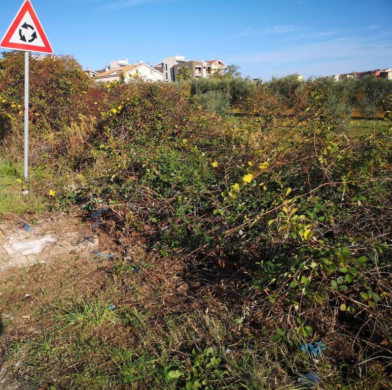 immagine annuncio 6 di 12