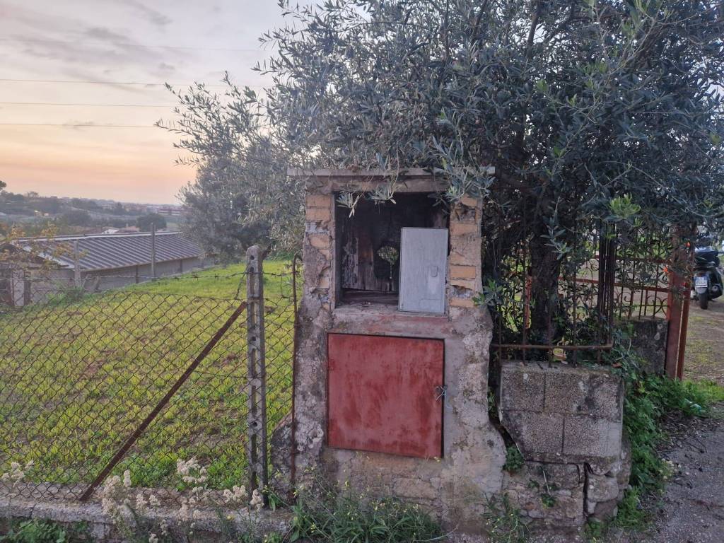 immagine annuncio 8 di 10