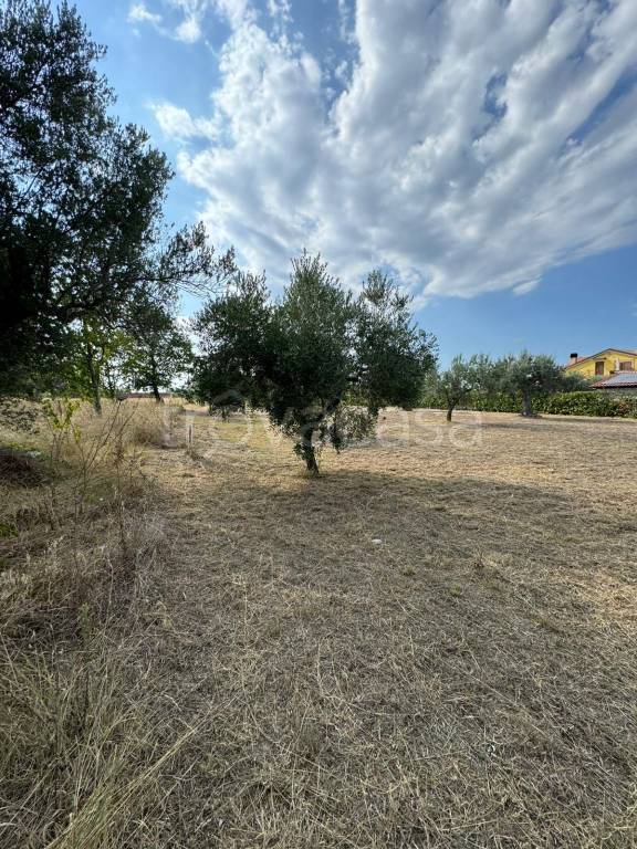 immagine annuncio 1 di 6