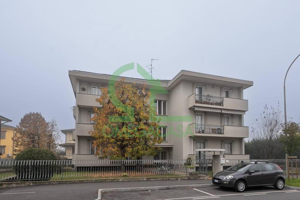 immagine annuncio 11 di 14