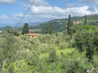 Terreno agricolo in vendita a sarzana via paternino, 63