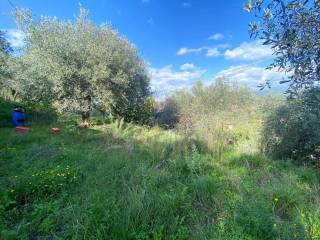 Terreno agricolo in vendita ad arcola via aurelia nord