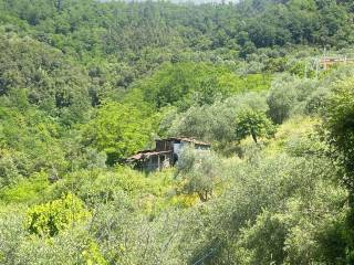 Terreno agricolo in vendita a la spezia via del forno