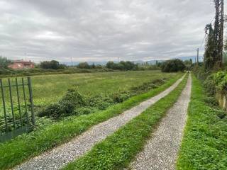 Terreno agricolo in vendita a lerici senato