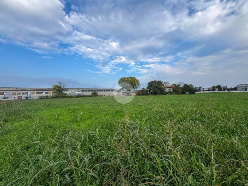 immagine annuncio 12 di 15