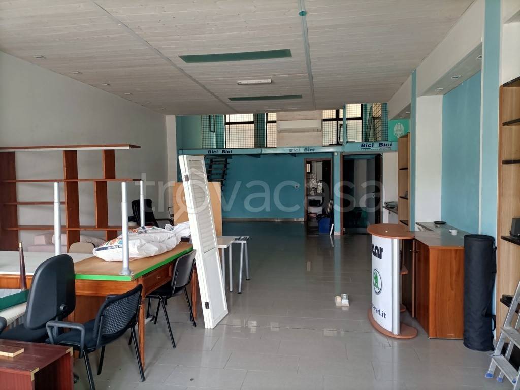 immagine annuncio 3 di 12