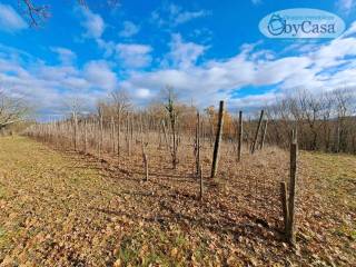 Terreno agricolo in vendita a oriolo romano oriolo romano