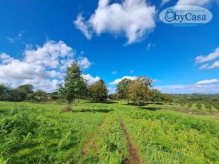 Terreno agricolo in vendita a oriolo romano oriolo romano