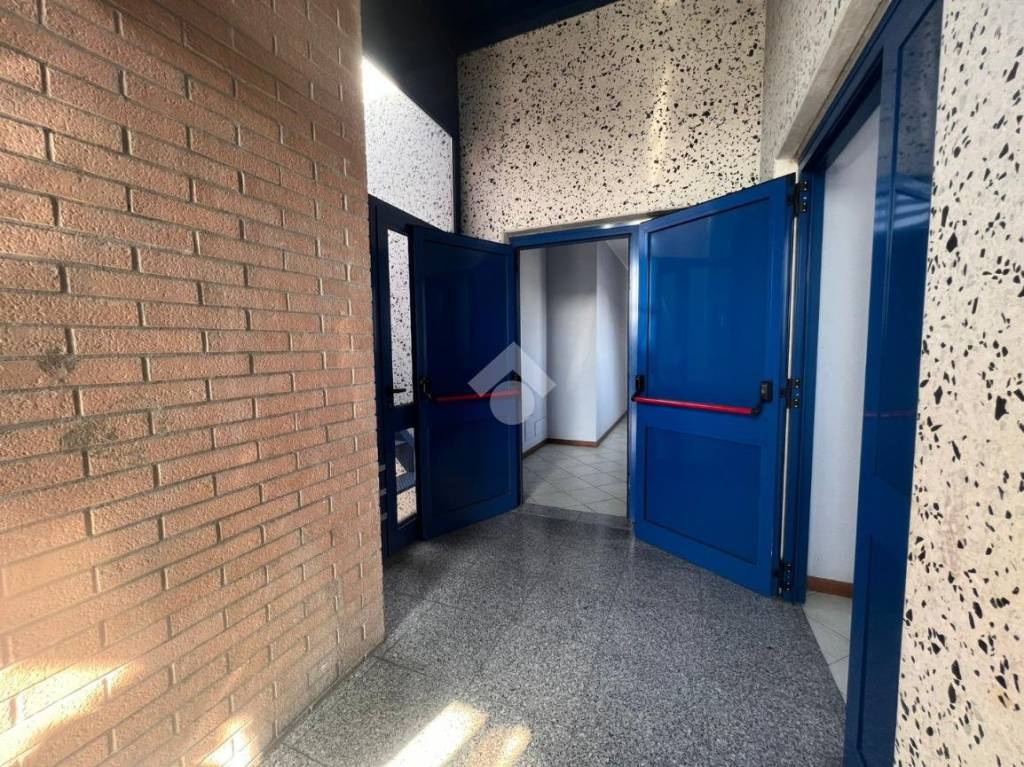 immagine annuncio 8 di 14