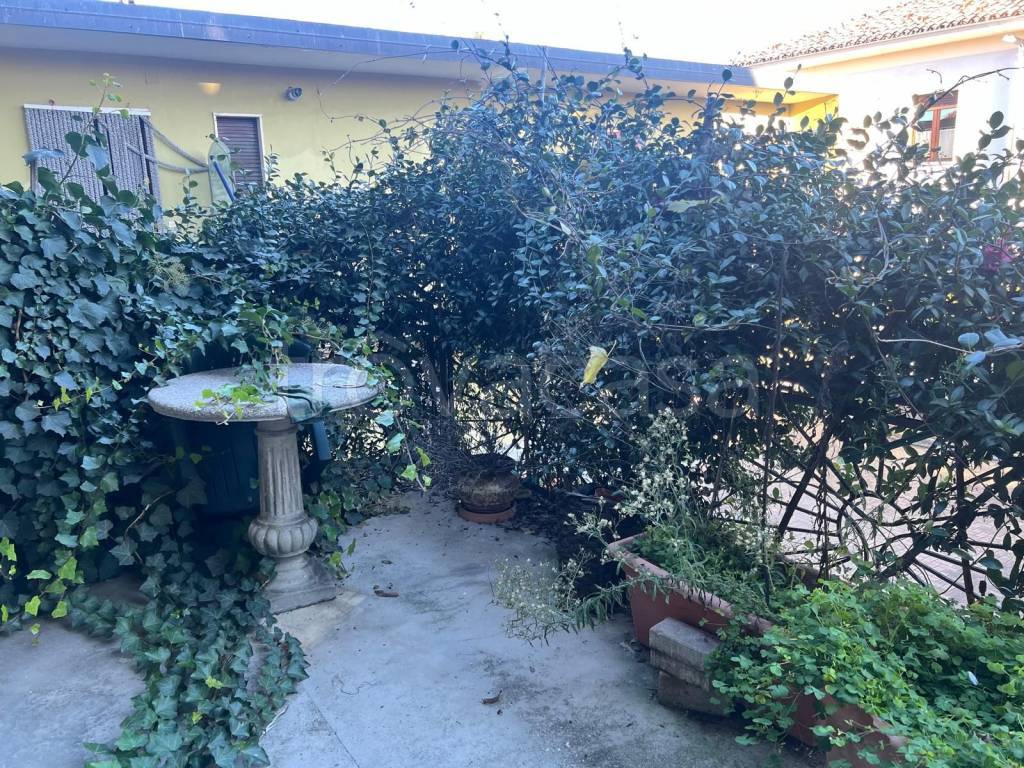 immagine annuncio 7 di 11