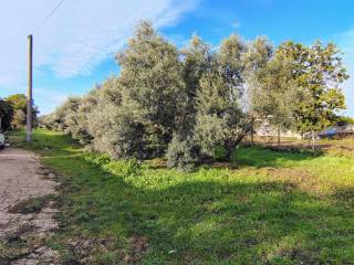 Terreno agricolo in vendita ad acerra via degli etruschi