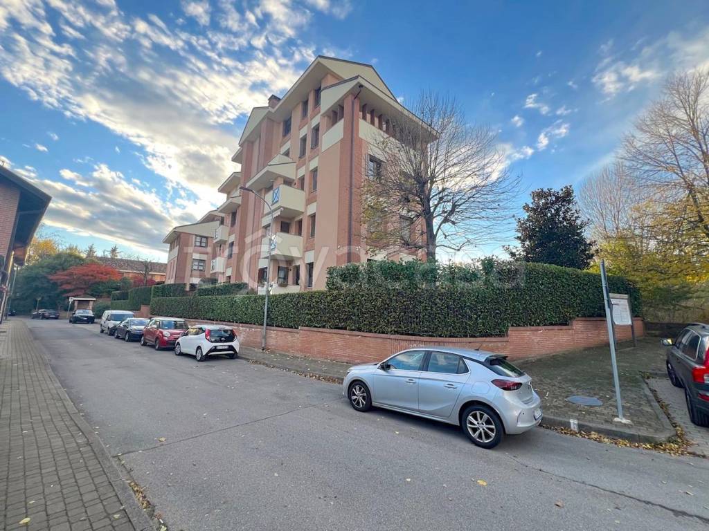 immagine annuncio 3 di 15