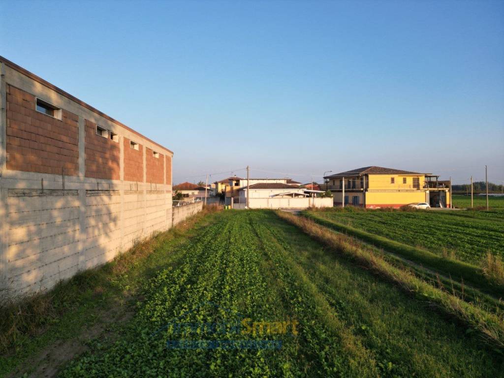 immagine annuncio 8 di 13