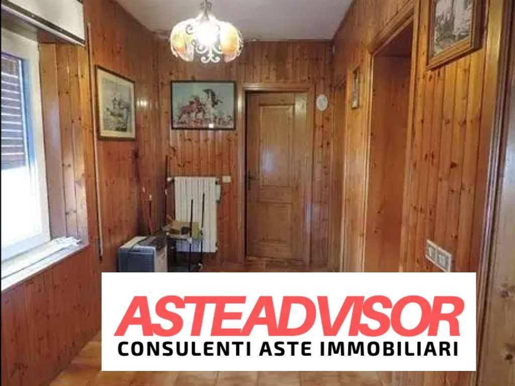 immagine annuncio 7 di 14