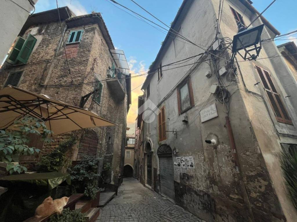 immagine annuncio 2 di 14