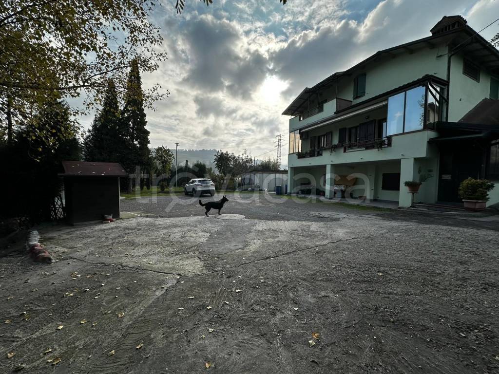 immagine annuncio 11 di 15