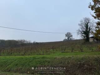 Terreno agricolo in vendita a castelnuovo belbo borgo giardino