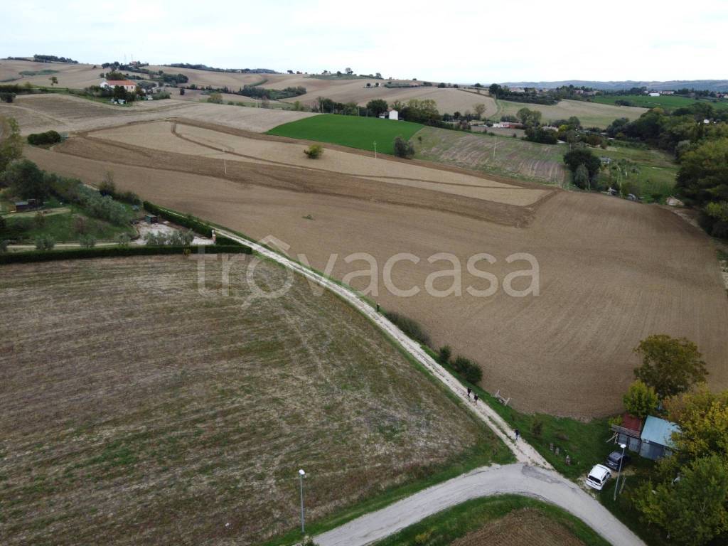 immagine annuncio 9 di 12