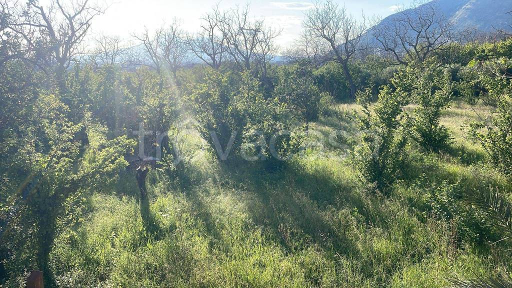 immagine annuncio 5 di 6