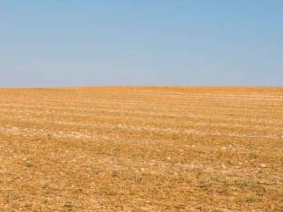 Terreno agricolo all'asta a cassano spinola località cassano spinola