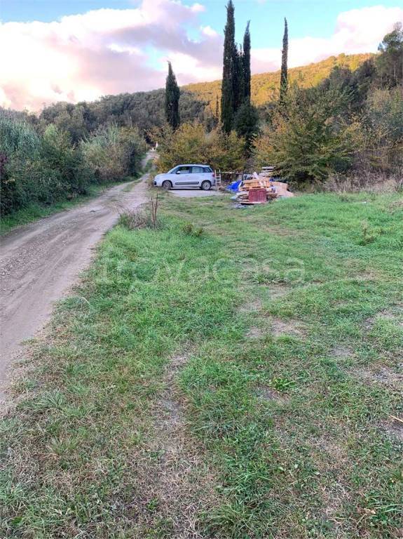 immagine annuncio 2 di 6