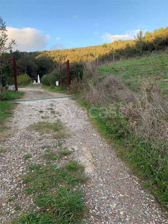 immagine annuncio 4 di 6