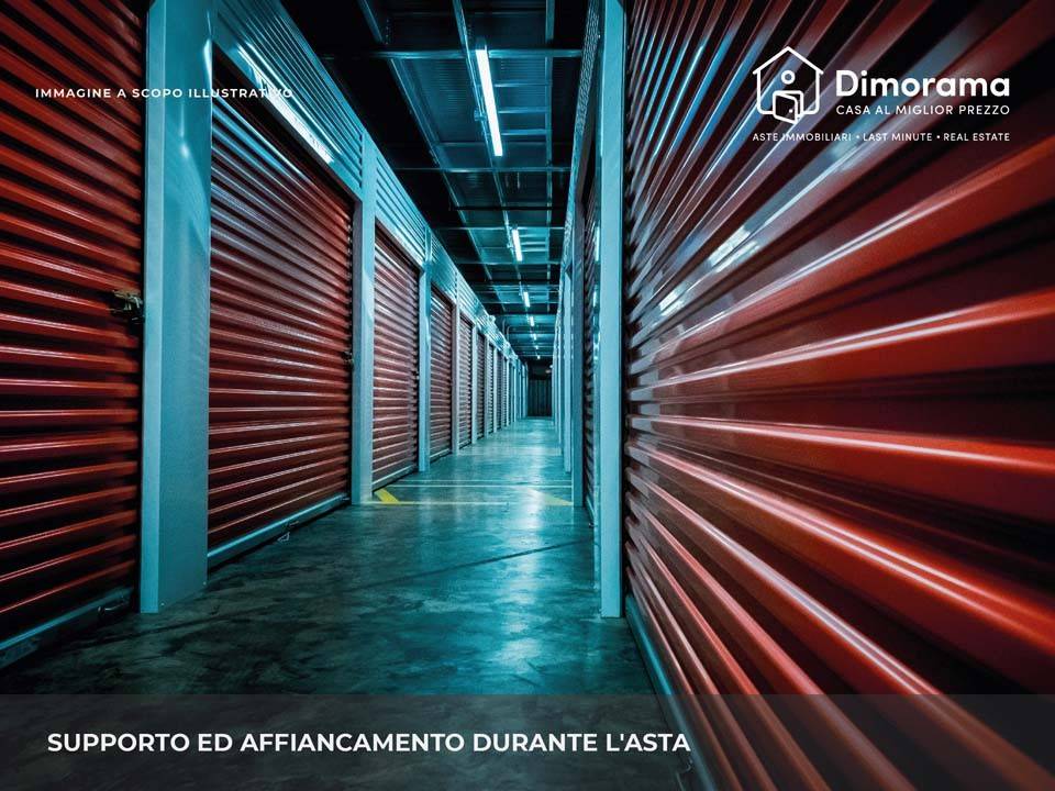 immagine annuncio 5 di 12
