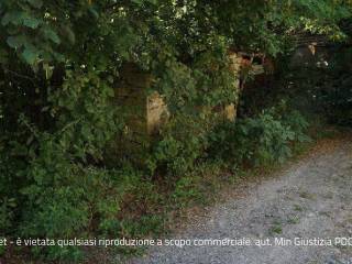 Terreno agricolo all'asta a bobbio localita' mezzano scotti - fraz. areglia, snc