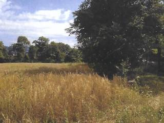 Terreno agricolo all'asta a oggiono strada consorziale, snc