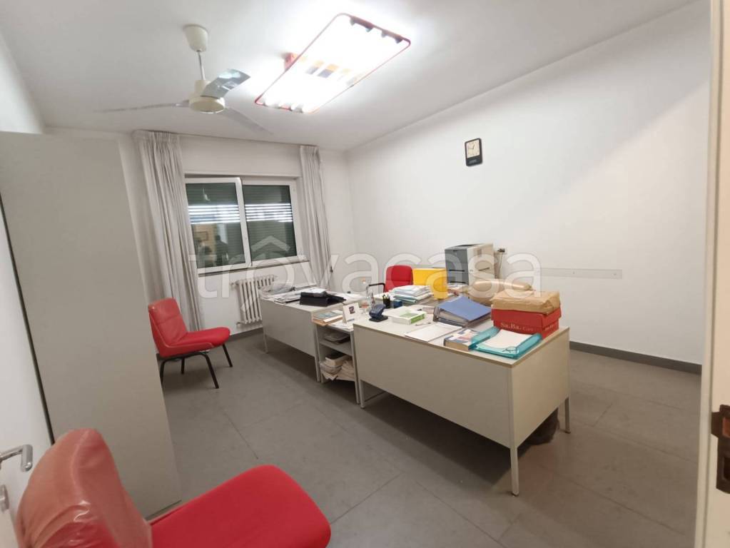 immagine annuncio 9 di 12