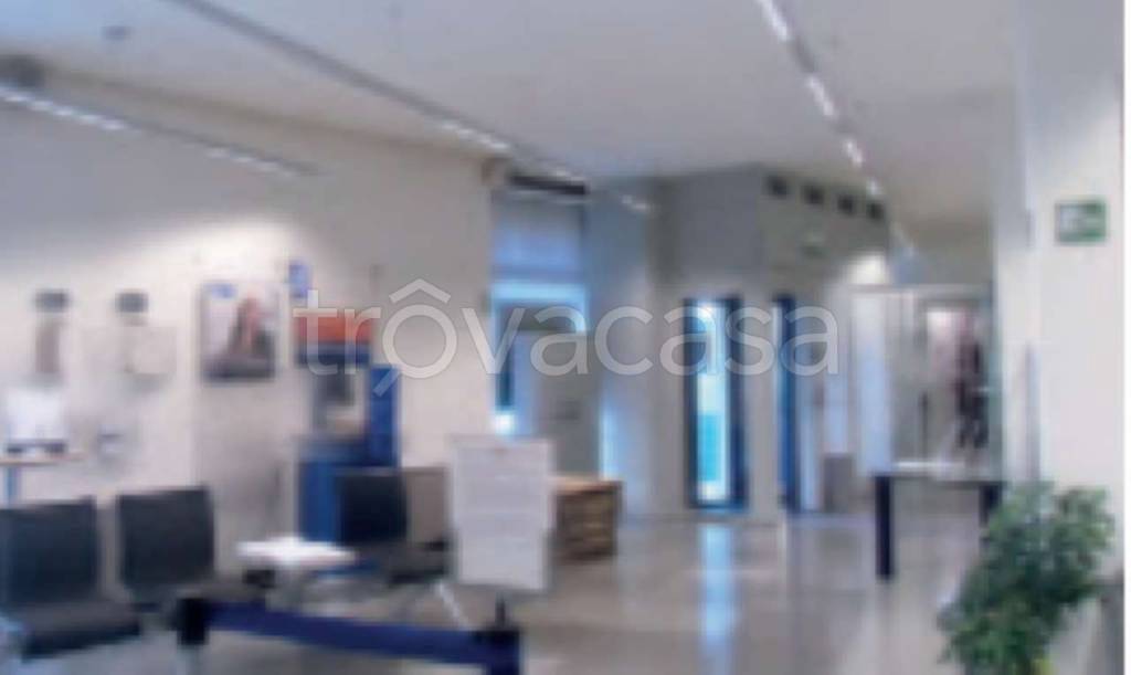 immagine annuncio 3 di 6
