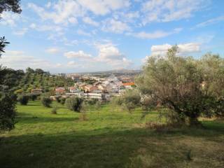 Terreno residenziale in vendita a montesilvano via giacomo medici, 6