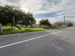 Terreno agricolo in vendita a saviano via cerreto