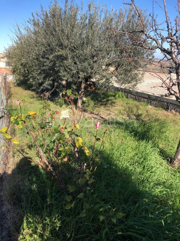 immagine annuncio 1 di 6